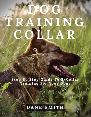 e collar training guide