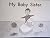 My Baby Sister (Fountas and...