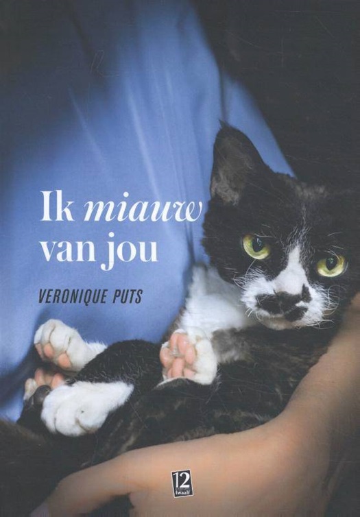 Ik miauw van jou