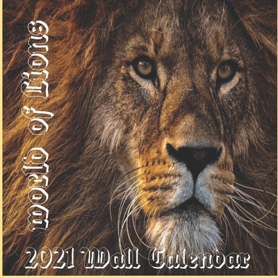 Lion Calendar 2021: Lion calendar 2021 "8.5x8.5" Inch 16 Months JAN 2021 TO APR 2022 finished and Glossy
