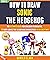 How To Draw Sonic The Hedge...
