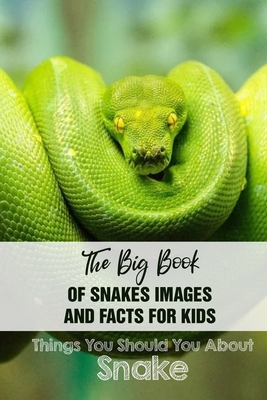 The Big Book Of Snakes Images And Facts For Kids Things You Should You About Snakes: Snake Picture Books