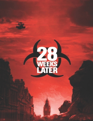 28 Weeks Later: Screenplay (Paperback)