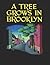 A Tree Grows in Brooklyn: Screenplay