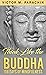 Think Like the Buddha: 108 ...