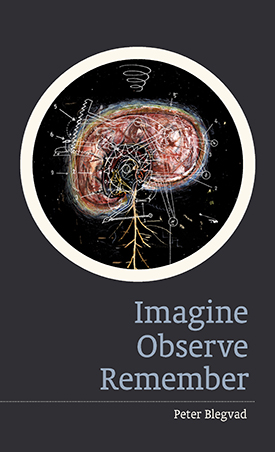 Imagine Observe Remember (Paperback)