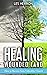 Healing Wounded Land: How t...