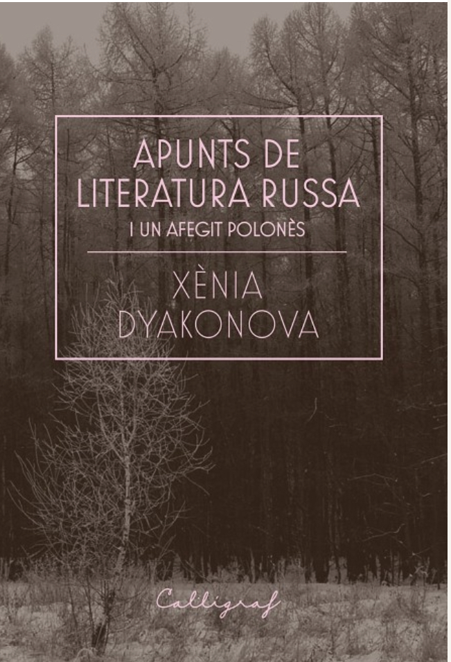 Apunts de literatura russa i un afegit polonès