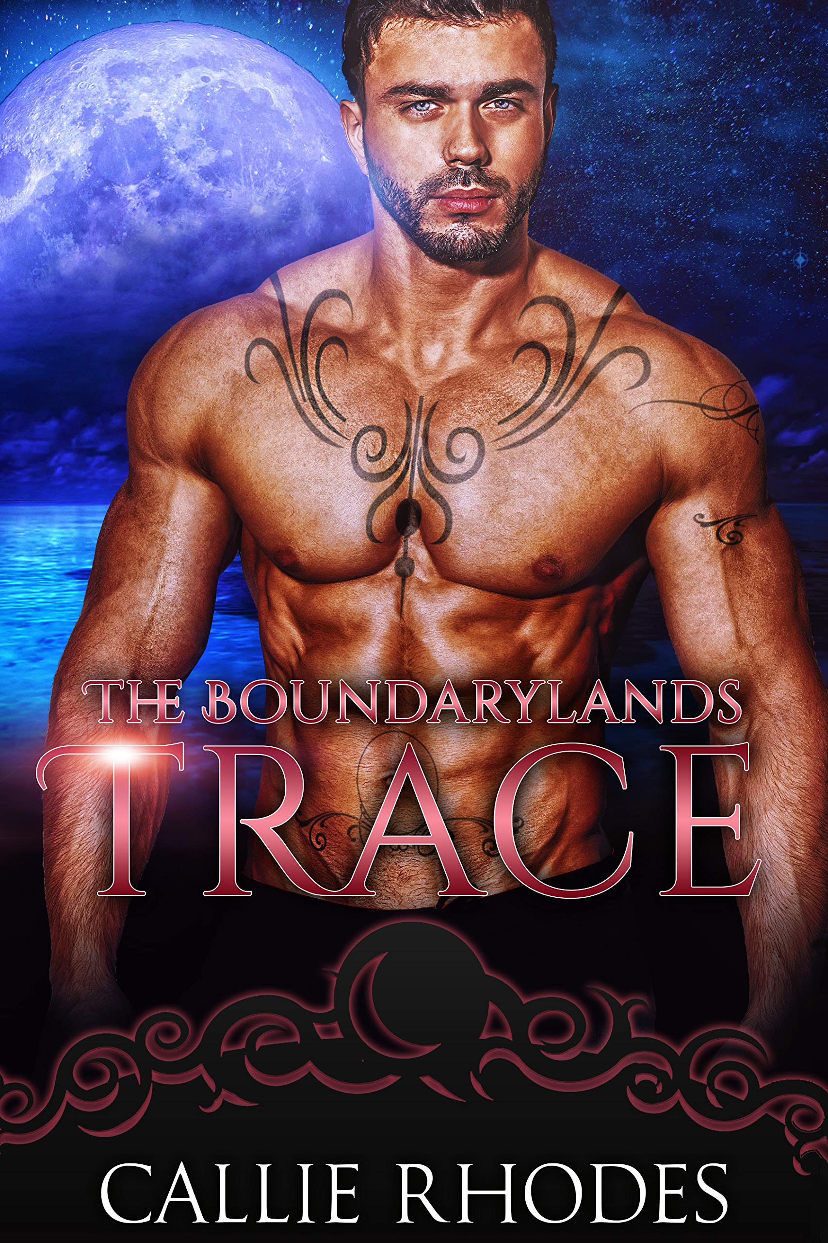 Trace (The Boundarylands #13)