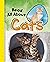Read All About Cats (Read All About It)