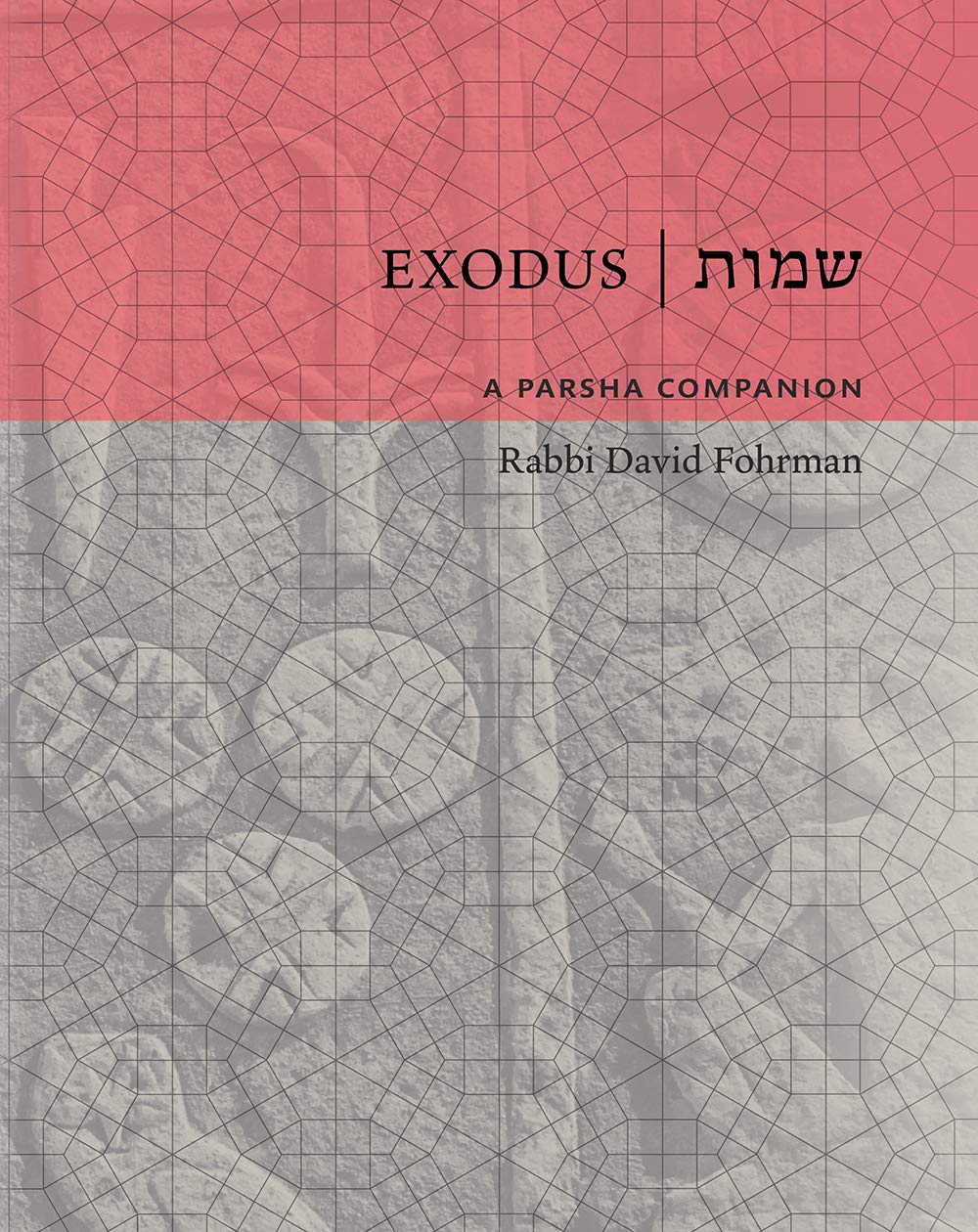 Exodus: A Parsha Companion (Hardcover)