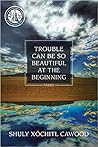 Trouble Can Be So Beautiful at the Beginning by Shuly Xóchitl Cawood