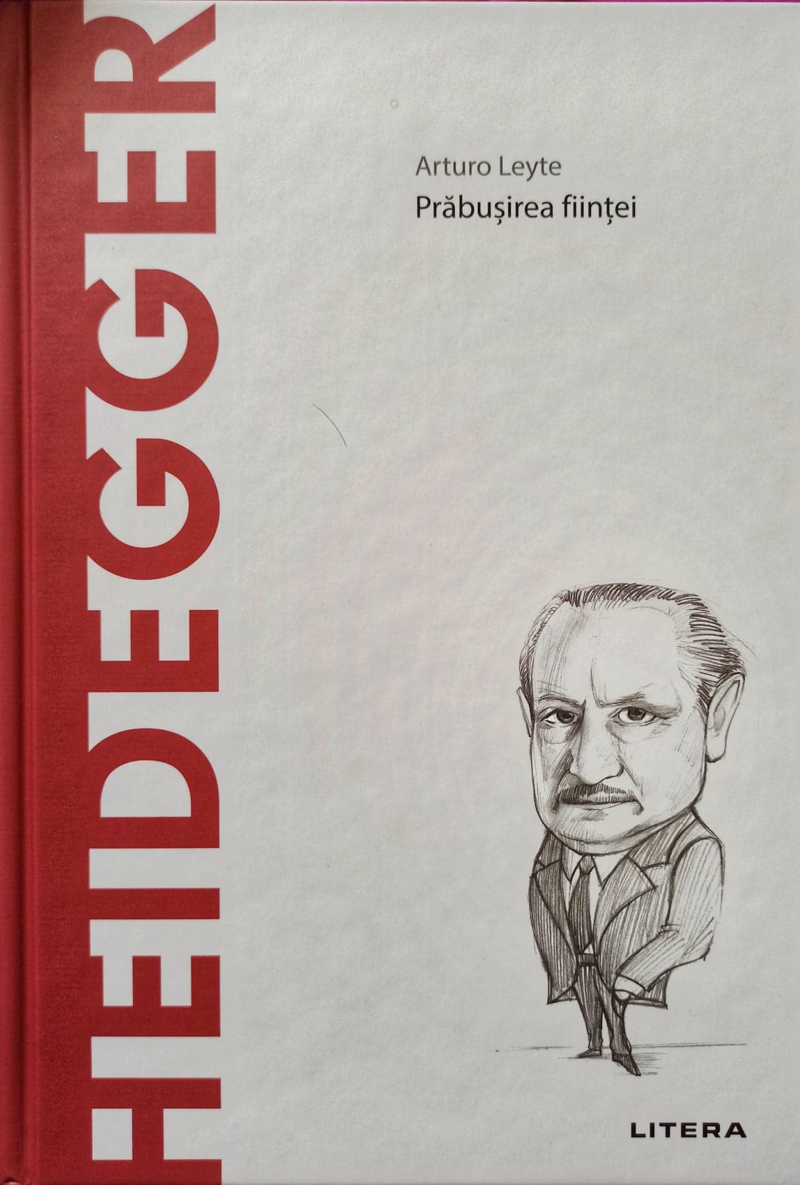 Heidegger: Prăbușirea ființei (Descoperă filosofia, #14)