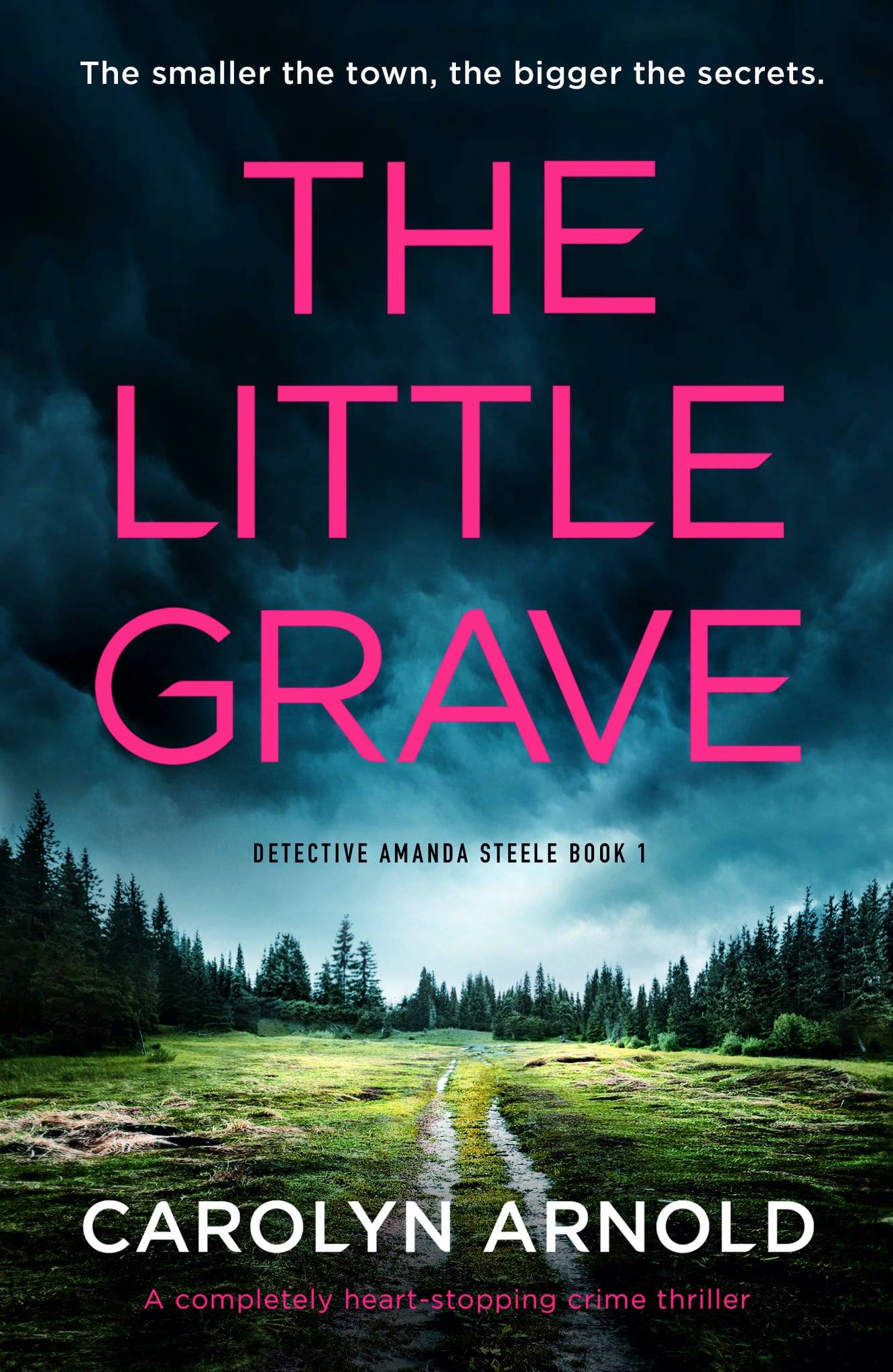 The Little Grave (Detective Amanda Steele #1)