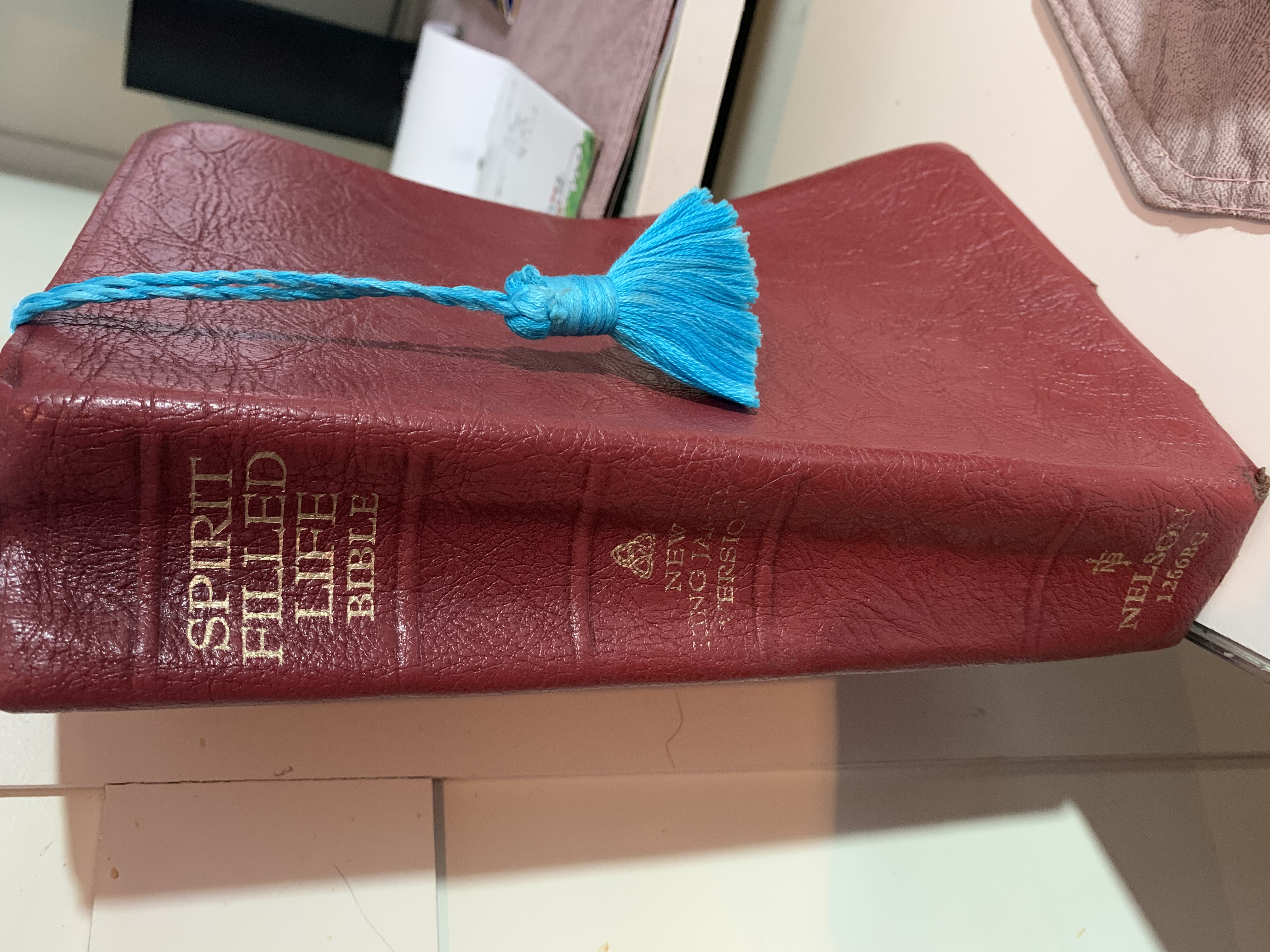 Spirit- Filled Life Bible 1991 by Thomas Nelson, Inc.