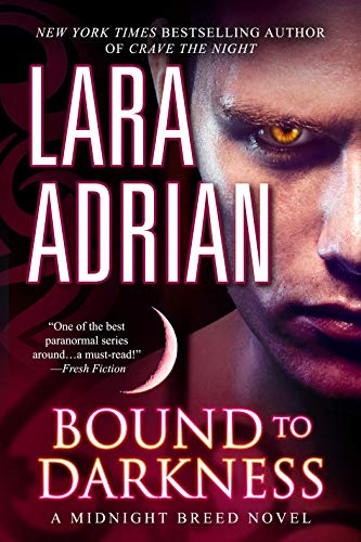 Bound to Darkness (Midnight Breed, #13)