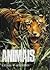 Animais: formas e ambientes