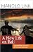 A New Life on Bali by Manolo Link