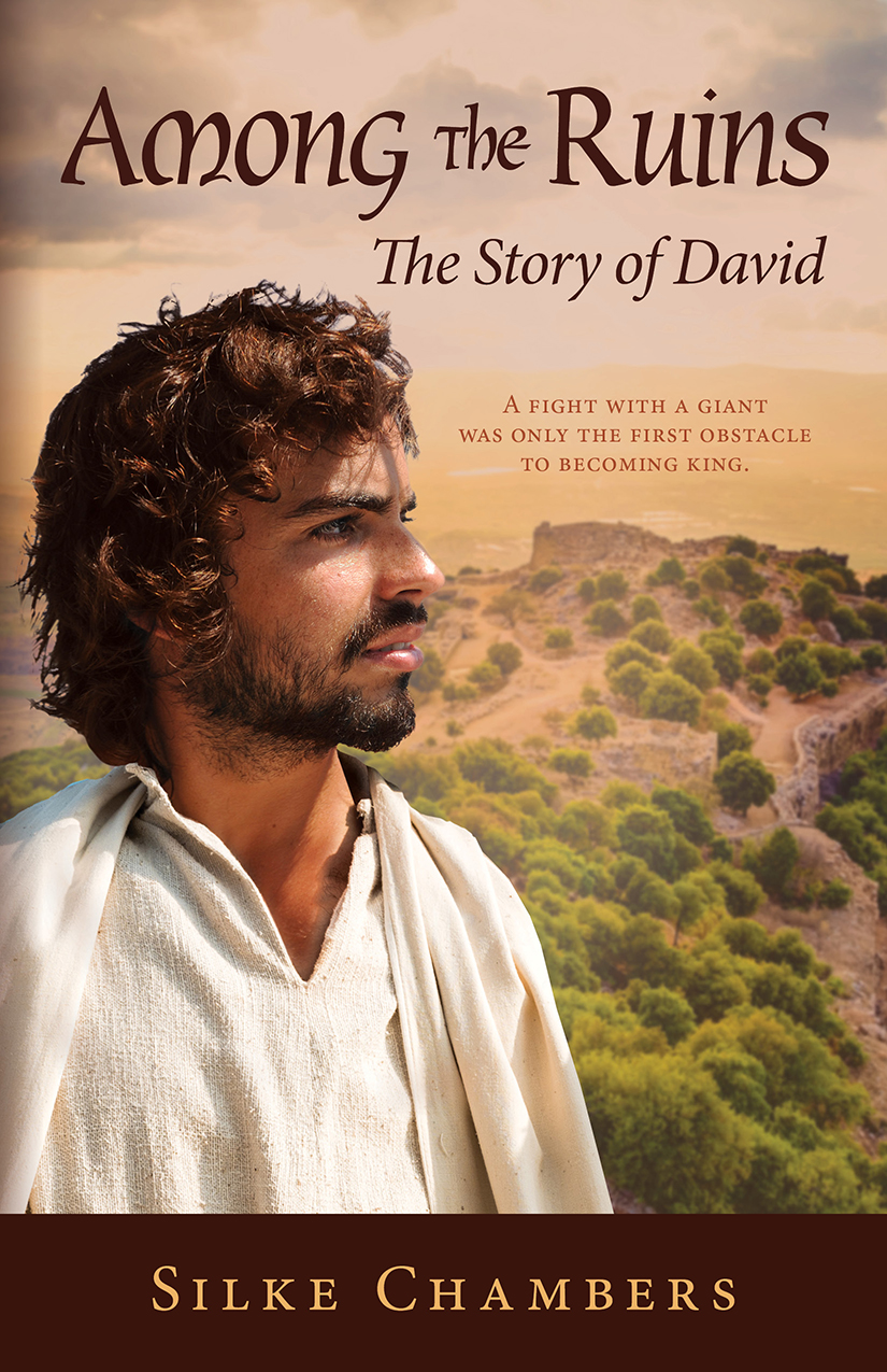 Among the Ruins, the Story of David