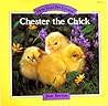 Chester the Chick