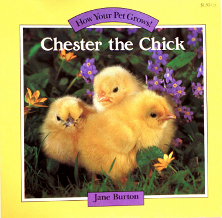 Chester the Chick