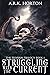 Struggling With the Current (The Telverin Trilogy)
