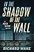 In the Shadow of the Wall (Peter Ritter thriller series)