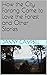 How the City Farang Came to Love the Forest and Other Stories by Danny Campbell
