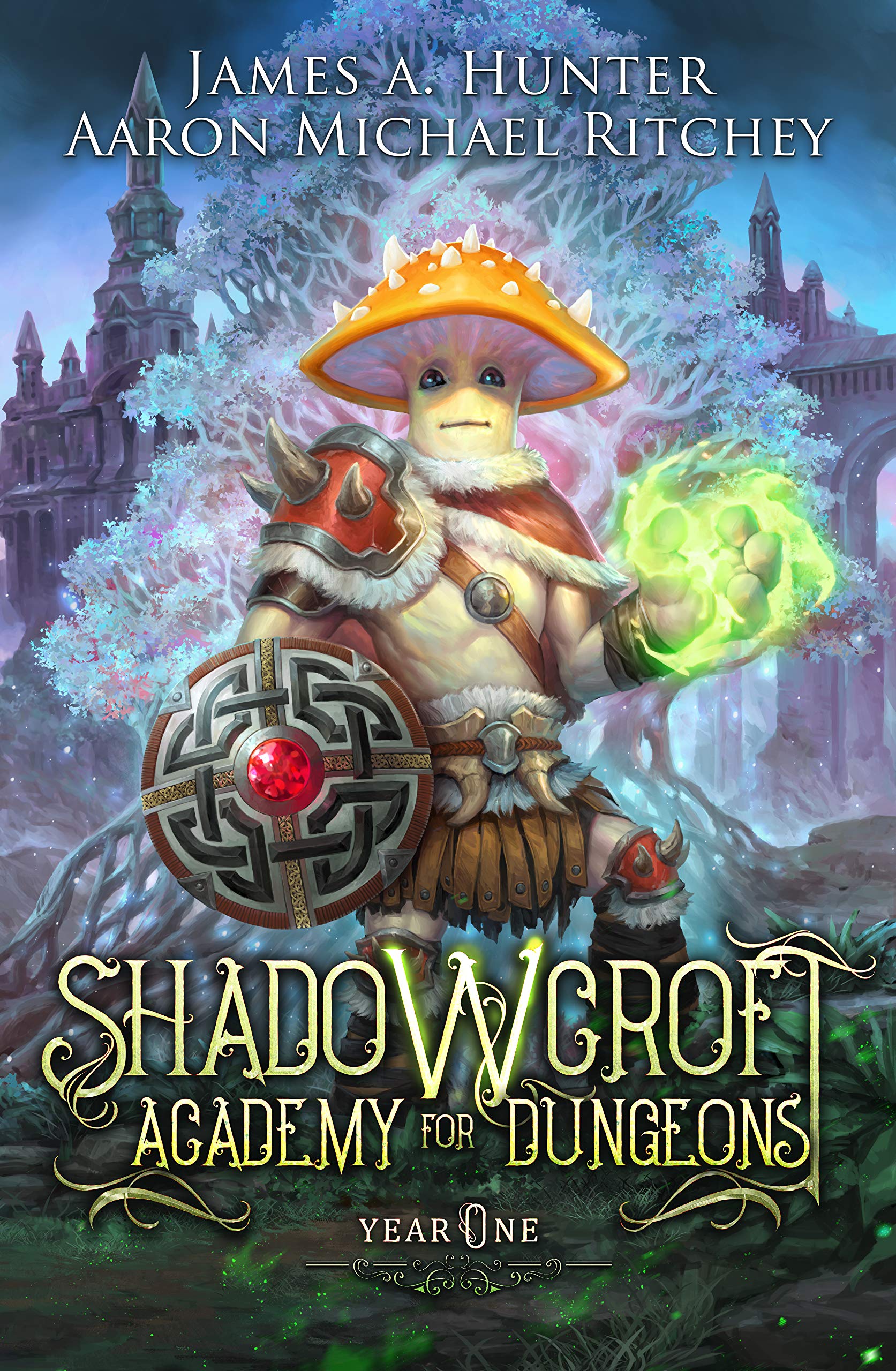 Shadowcroft Academy For Dungeons: Year One (Kindle Edition)