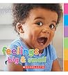 Feelings, Big & Small by Claire Everett