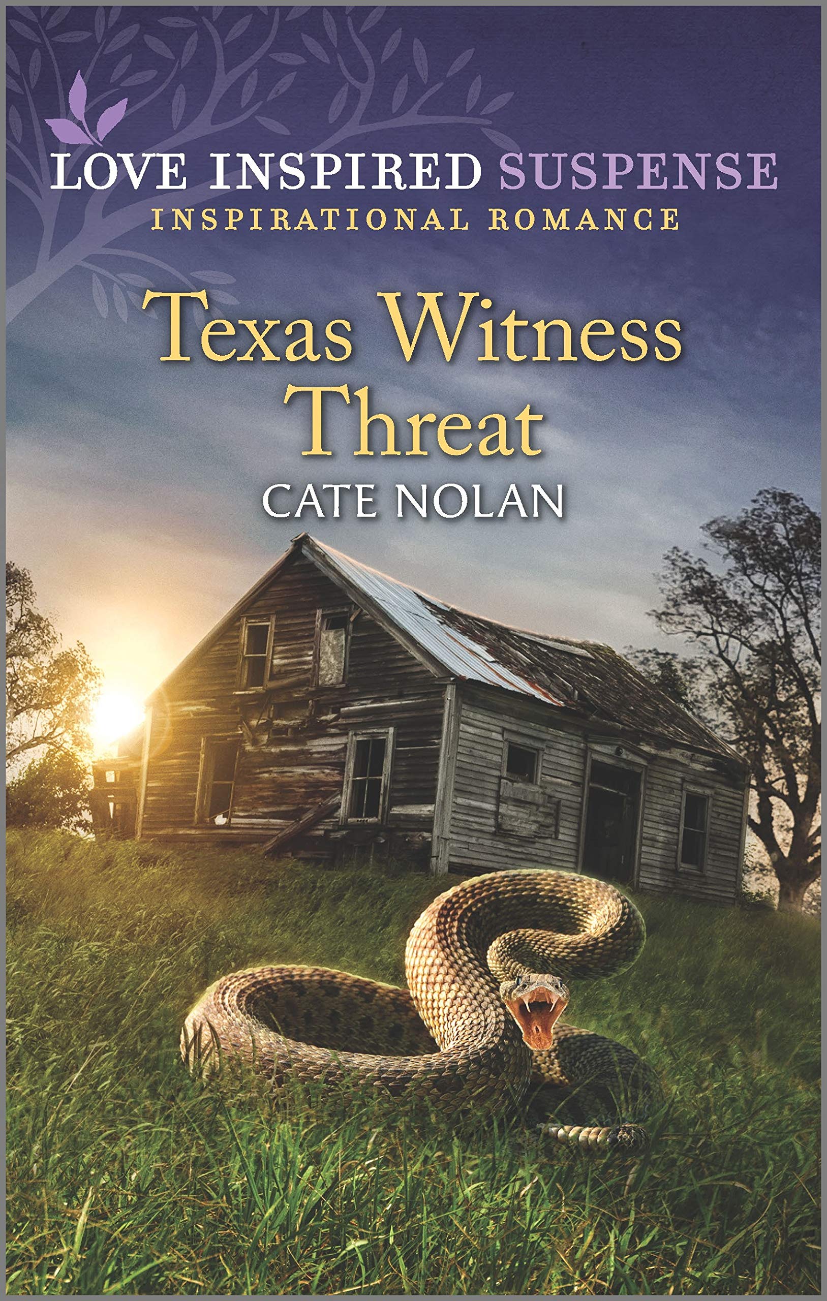 Texas Witness Threat: A Woman in Jeopardy Inspirational Suspense Romance