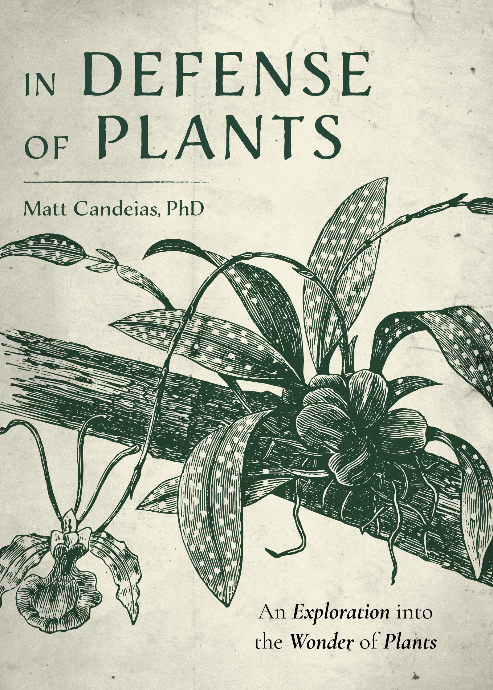 In Defense of Plants: An Exploration into the Wonder of Plants (Hardcover)
