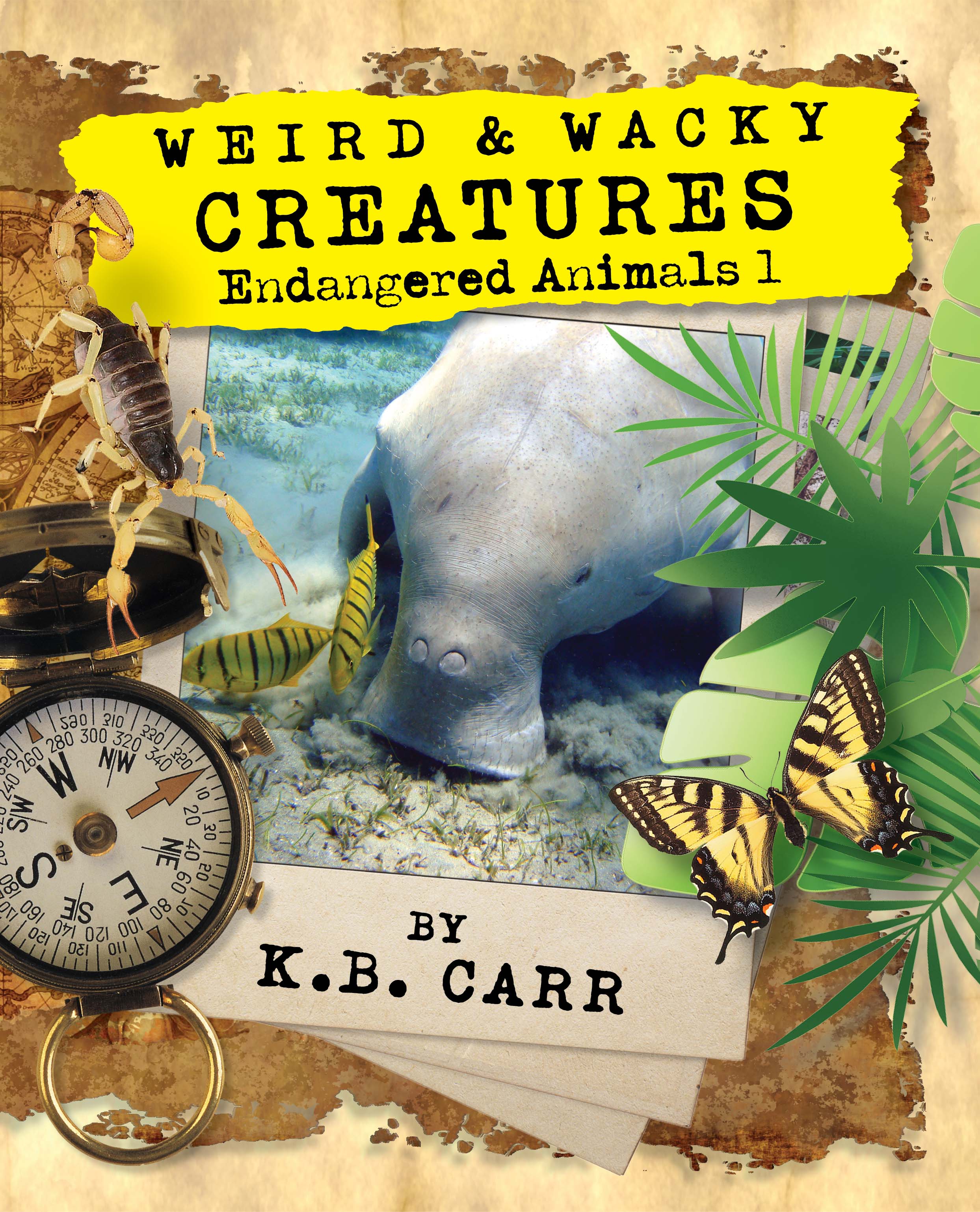 Weird & Wacky Creatures - Endangered Animals 1 (Weird & Wacky Endangered Creatures #1)