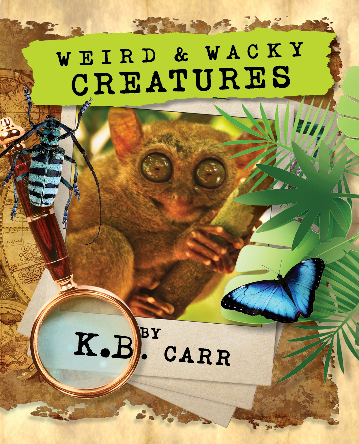 Weird & Wacky Creatures 1  (Weird & Wacky Creatures #1)