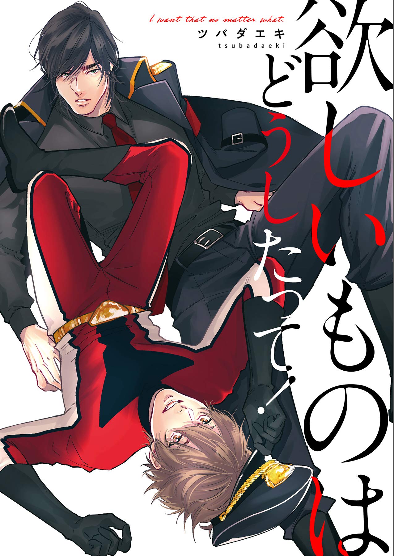 欲しいものはどうしたって！ (エクレアコミック) (Japanese Edition)