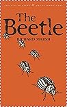 The Beetle