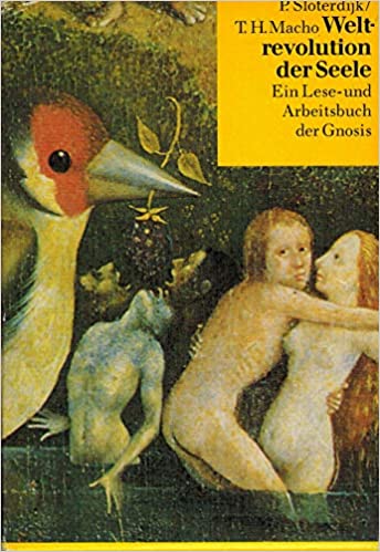 Weltrevolution der Seele: ein Lese- und Arbeitsbuch der Gnosis von der Spätantike bis zur Gegenwart (Hardcover)