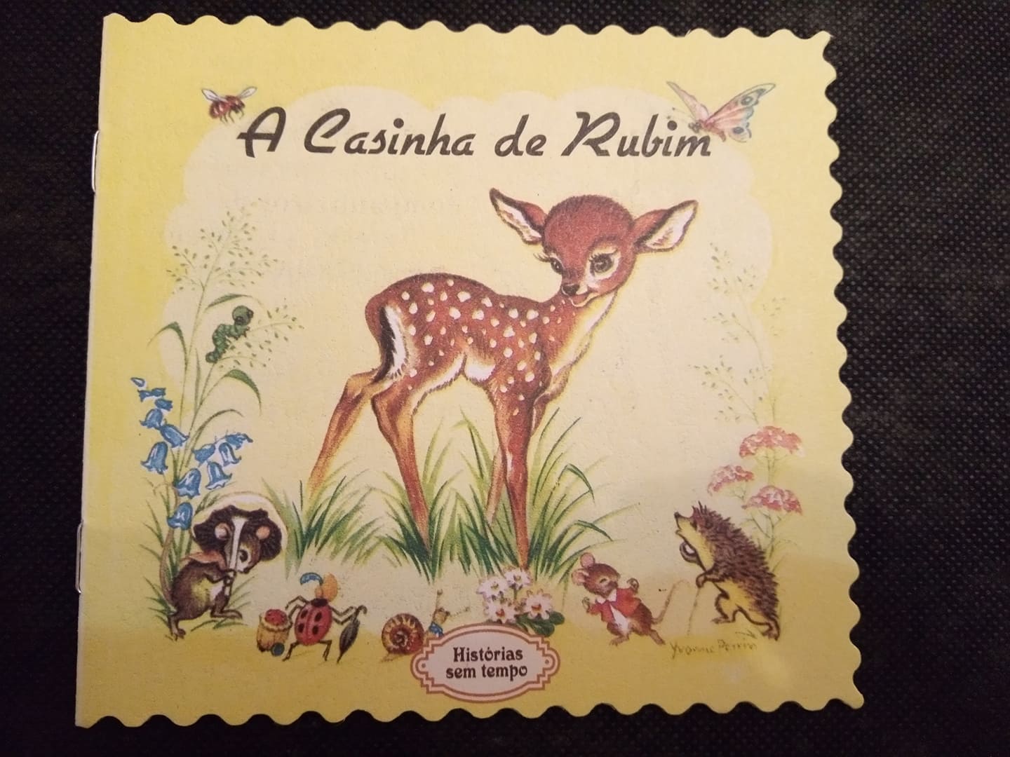 A Casinha de Rubim