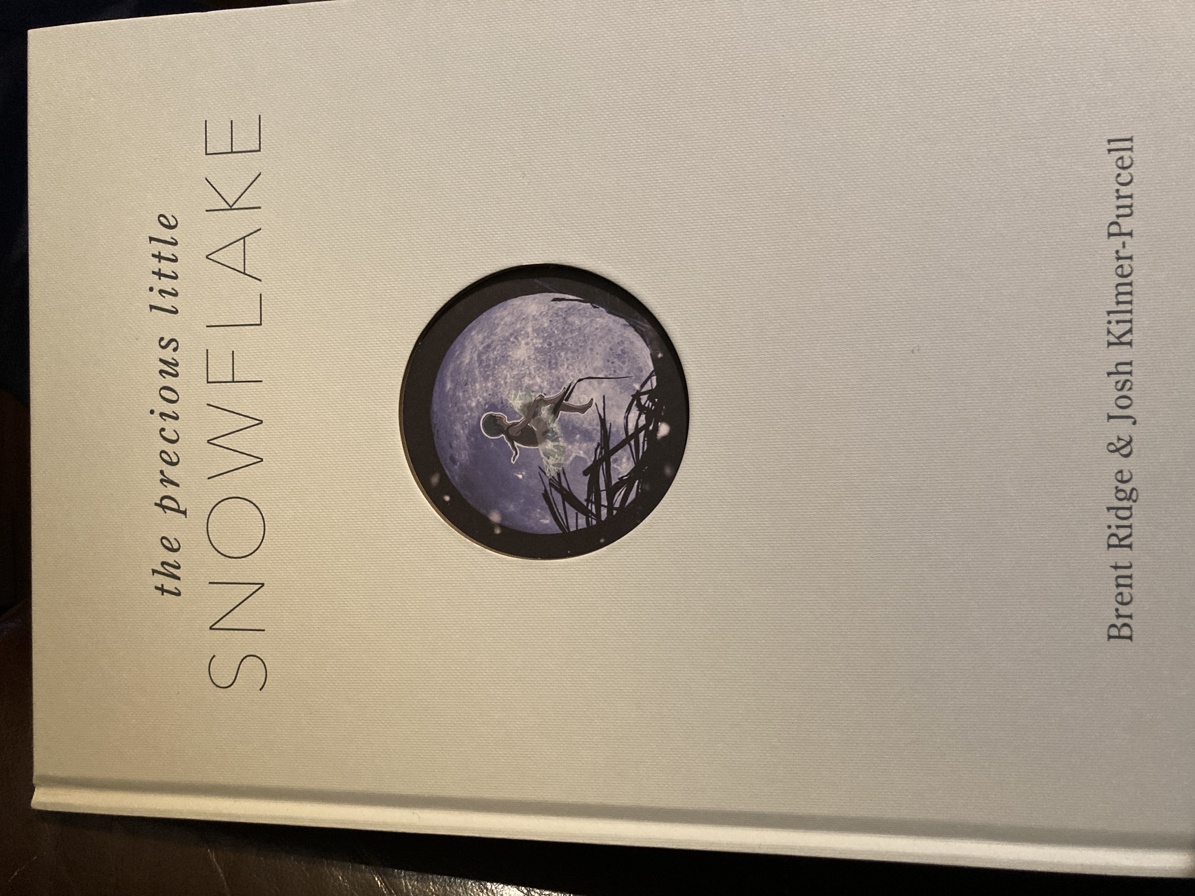 The Precious Little Snowflake