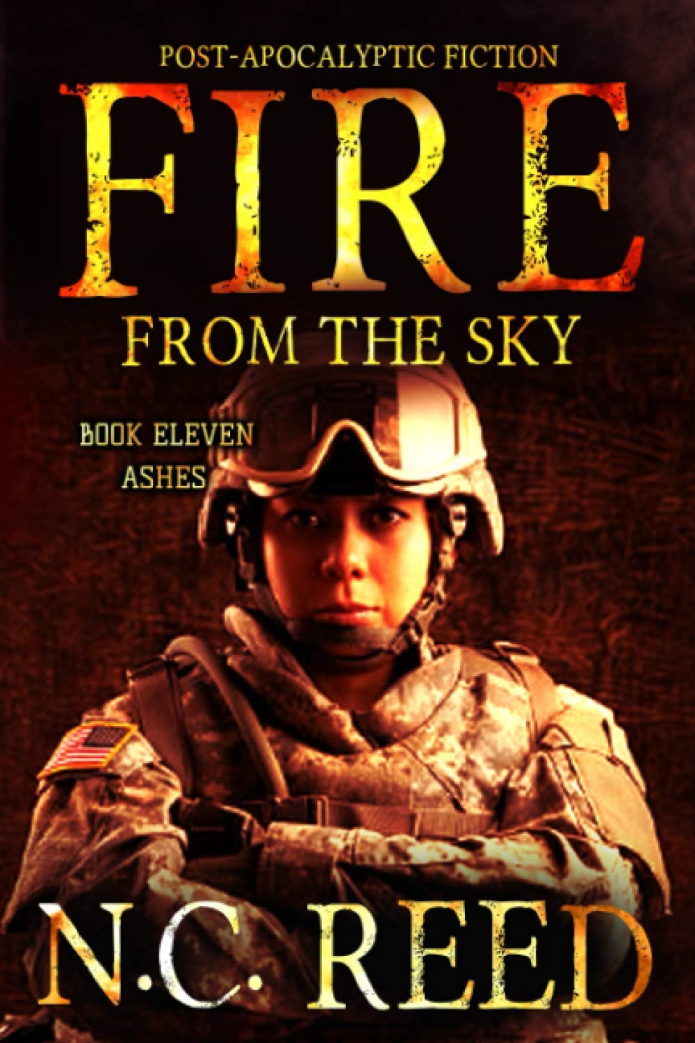 Fire From the Sky: Ashes (Paperback)