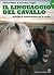 Il linguaggio del cavallo
