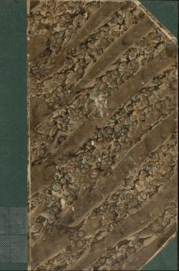 Tung tids tale (Hardcover)