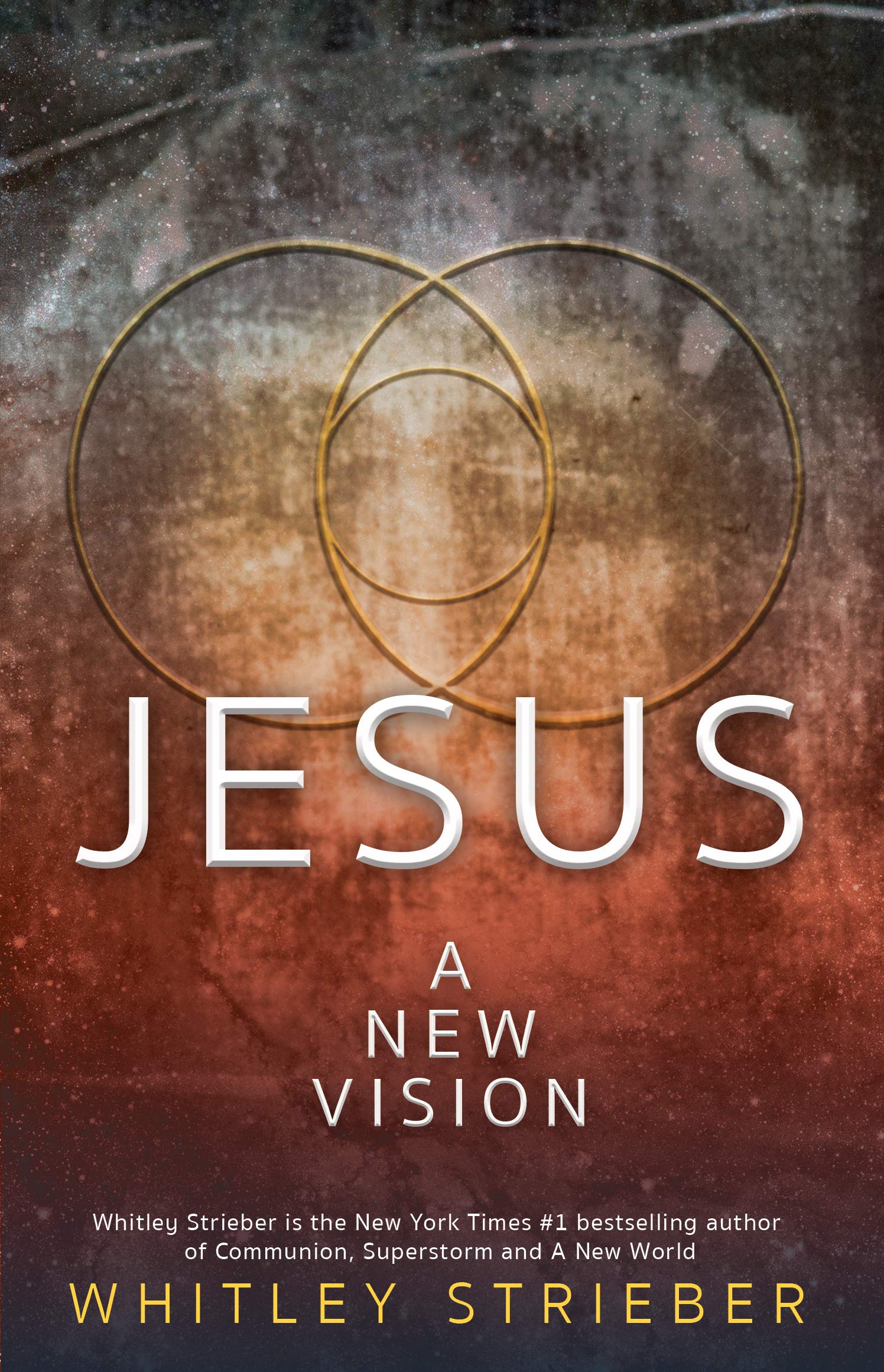 Jesus: A New Vision (Kindle Edition)