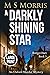 A Darkly Shining Star (Bridget Hart #5)