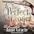 The Perfect Stranger (The Merridew Sisters, #3)