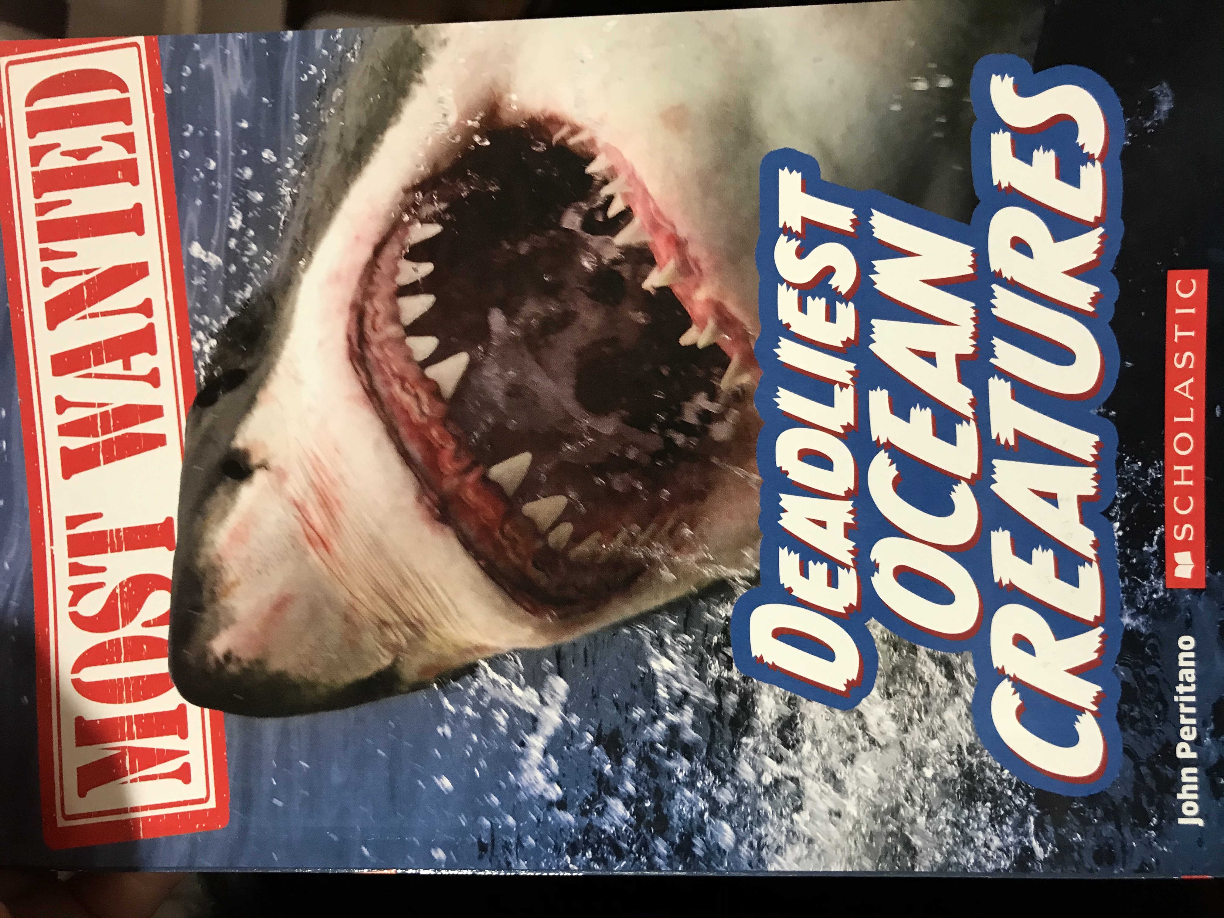 Most Wanted Deadliest Ocean Creatures (Paperback)