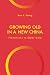 Growing Old in a New China: Transitions in Elder Care (Global Perspectives on Aging)