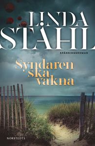 Syndaren ska vakna (Höllviken-deckare, #1)