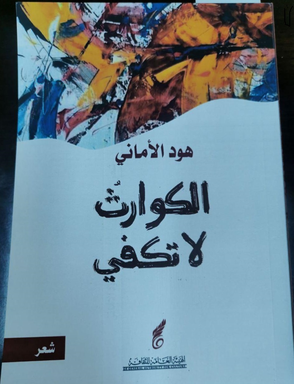 الكوارث لا تكفي (Paperback)