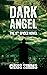 Dark Angel (DI Jon Spicer, #9)